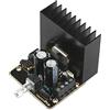 Fasizi Scheda Amplificatore Stereo per Auto, 30W + 30W Classe AB Amplificatore Audio per Auto 2.0 Dual-Channel Immersion Gold Stereo Amp Board TDA7377 Mini Modulo di Amplificazione DC12V