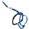 PetSafe Easy Walk, Pettorina e Guinzaglio Elastico per Gatti, Regolabile, Guinzaglio Elastico, Blu, S