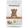 Amanova Kitten Pollo Fresco - 4 Kg - Cibo monoproteico gatto - 1° ORDINE? scegli lo sconto BZR5 / BZR20 + 200 punti fedeltà