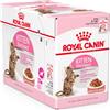 Royal Canin Kitten Sterilised in salsa 85 grammi confezione da 12 cibo umido per gatti