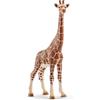 SCHLEICH 14750 Giraffa, femmina, da 3 anni, WILD LIFE - Figura, 4 x 9 x 17 cm