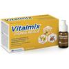 Vitalmix Vital mix Pappa Reale Energia per l'Organismo Tonico con Vitamina B 10Flaconcini