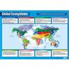 Daydream Education Global Ecosystems | Poster geografico | Carta lucida laminata misura 850 mm x 594 mm (A1) | Poster Geografia Classroom | Schede educative by