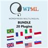 Wpml WP Multilingual (WPML) - BUNDLE