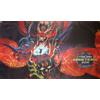 Yu-Gi-Oh! Force of Will PLAYMAT Italian Masters 2016 - FOW TCG ITA