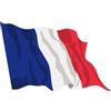 Ideabandiere.com Bandiera Francia