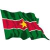 Ideabandiere.com Bandiera Suriname
