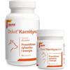 Dolfos Dolvit Carnitina 90 compresse