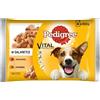 Pedigree Wet Jellied Adult Dog Food (Beef, Poultry) 4x100g