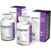 VETEXPERT Dog GeriatiVet 45 Compresse