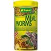 Tropical Vermi della farina tropicali 250 ml