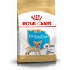 ROYAL CANIN Chihuahua Puppy 500g