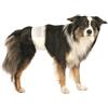 Trixie Adult Doggie Diapers M-L 46-60cm 12pcs