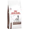 Royal Canin medicina veterinaria ROYAL CANIN Gastrointestinal Dog 2kg