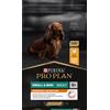 Purina Pro Plan PRO PLAN Everyday Nutrition Small & Mini Adult cibo per cani ricco di pollo 7kg