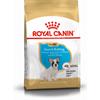 ROYAL CANIN French Bulldog Puppy 1kg