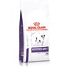 Royal Canin medicina veterinaria ROYAL CANIN Neutered Adult Small Dog 8kg