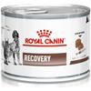 Royal Canin medicina veterinaria ROYAL CANIN Recovery 195g