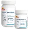 Dolfos Dolvit Probiotic 60 Compresse