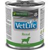 Farmina Vet Life Canine Renal 300g