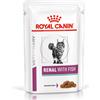 Royal Canin medicina veterinaria ROYAL CANIN Renal con pesce 12x85g