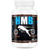 GAME DOG HMB 120 Compresse