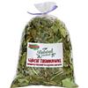 ALEGIA Foglie di fragola 90g