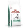 Royal Canin medicina veterinaria ROYAL CANIN Diabetic 1,5kg