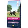 Eukanuba Cucciolo e junior di taglia grande 15kg