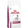 Royal Canin medicina veterinaria ROYAL CANIN Renal Select Canine 2kg