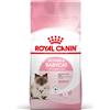 ROYAL CANIN Mother & Babycat 4kg