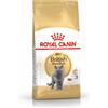 ROYAL CANIN British Shorthair Adulto 2kg