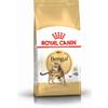 ROYAL CANIN Bengala Adulto 2kg