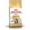 ROYAL CANIN Maine Coon Adult 400g