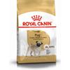 ROYAL CANIN Pug Adult 1,5kg