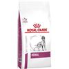 Royal Canin medicina veterinaria ROYAL CANIN Renal 7kg
