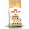 ROYAL CANIN Siamese Adulto 2kg