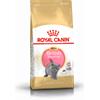 ROYAL CANIN British Shorthair Kitten 2kg