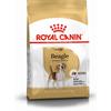 ROYAL CANIN Beagle Adulto 12kg