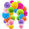 O-Kinee Pompon di carta,24 confezione appendere carta velina pom-poms Flower Ball kit per matrimonio festa di compleanno decorazione (colore)