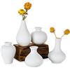 Sziqiqi Piccoli Vasi in Ceramica Bianco Set di 5, Mini Vasi Decorativi per Fiori Design Minimalista per Centrotavola di Casa Decorazione per Matrimoni Ufficio Soggiorno Camera e Cucina