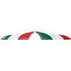 4R Quattroerre.it Quattroerre 19808 Adesivi 3D Bike Protec Shark Tricolore Metallico, 172 X 36 Mm