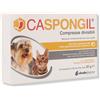 SHEDIR Caspongil 30 Compresse Divisibili