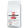 WHY SPORT Maltodestrine 100% Integratore Energetico