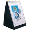 Exacompta 56134E Raccoglitori per Presentazioni, 49x32 cm, Nero