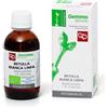 Fitomedical BETULLA BIANCA LINFA MACERATO GLICERICO 100 ML BIO