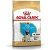 ROYAL CANIN CANE PUG CARLINO PUPPY 1,5 KG termine minimo di conservazione 24/09/25