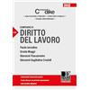 Dike Giuridica Compendio di diritto del lavoro