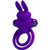 PRETTY LOVE Vibrant Penis Ring III