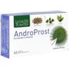 Natura service ligne de plantes androprost 60 capsule